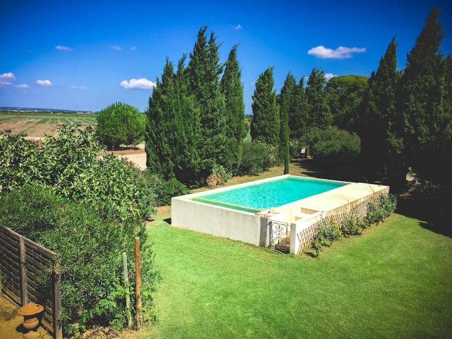 Mas De Charme En Pleine Camargue Villa Saint-Gilles  Eksteriør billede